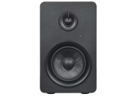 監(jiān)聽音箱KM-300